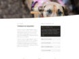 animal-shelter-contact-page-116x87.jpg